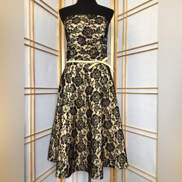 Eden Maids | Dresses | Beautiful Black Tan Lace Sleeveless Dress Sz 2 |  Poshmark